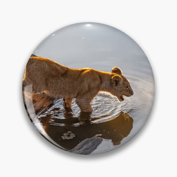 Item preview, Lion cub has respect for the water designed and sold by Ingo Gerlach.