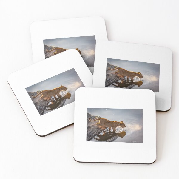 Item preview, Lion cub has respect for the water designed and sold by Ingo Gerlach.