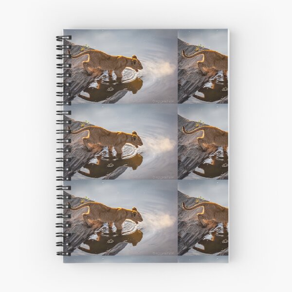 Item preview, Lion cub has respect for the water designed and sold by Ingo Gerlach.