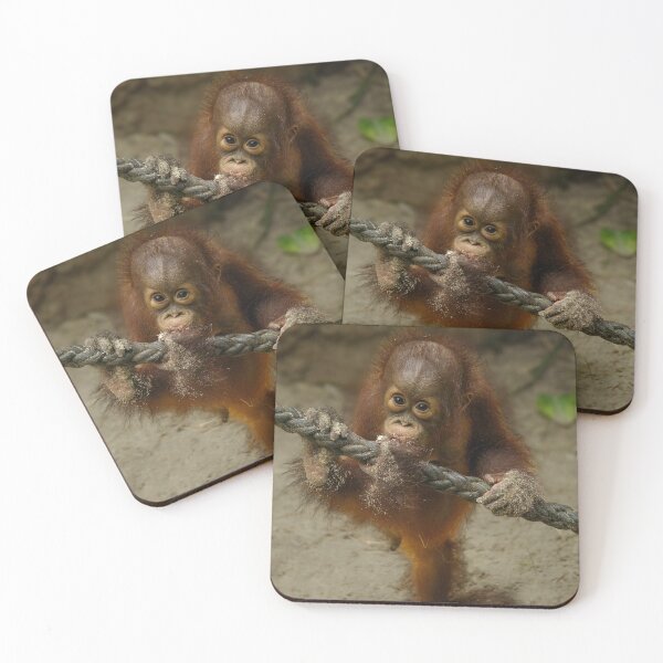 Item preview, Playtime with a Baby Orangutan designed and sold by rawshutterbug.
