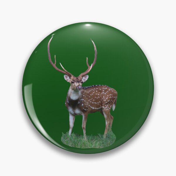 Artikelvorschau, Chital oder Axishirsch Männchen entworfen und verkauft von Linda Walsh.