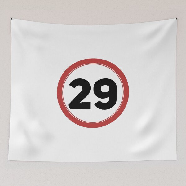 Item preview, Speed limit 29, happy 29th birthday designed and sold by Wolagno.