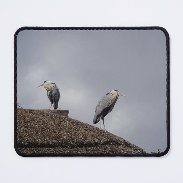 Item preview, grey heron designed and sold by EveryGarden.