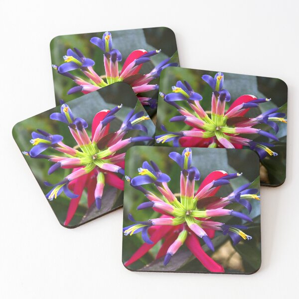 Item preview, Queen's-Tears Flower Squared designed and sold by MercerImages.