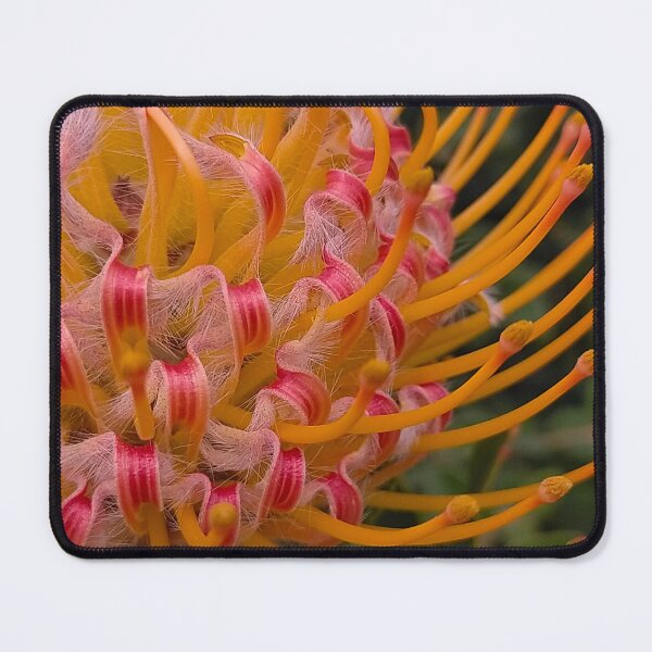 Item preview, Leucospermum Detail in Orange designed and sold by Jimbo McCoy.