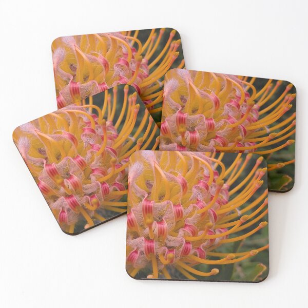 Item preview, Leucospermum Detail in Orange designed and sold by Jimbo McCoy.