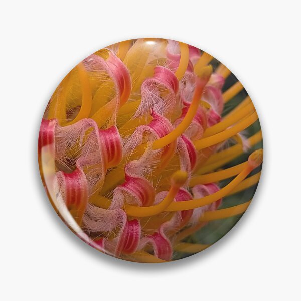 Item preview, Leucospermum Detail in Orange designed and sold by Jimbo McCoy.