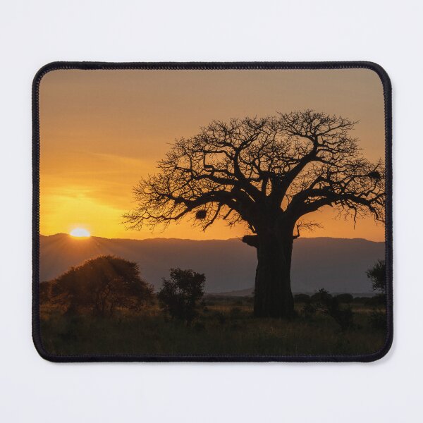 Item preview, Baobab Sunset, Tarangire National Park, Tanzania designed and sold by Andrew Goodall.