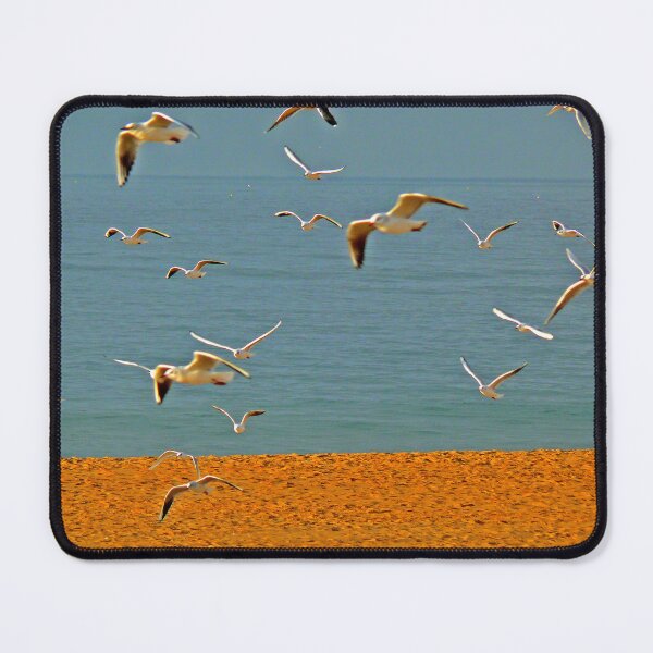 Item preview, seagulls designed and sold by Tereza Pilar Art.