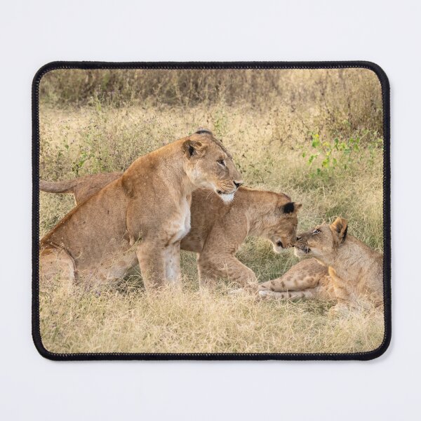 Item preview, Family Bonds: Lions of Tanzania designed and sold by Andrew Goodall.