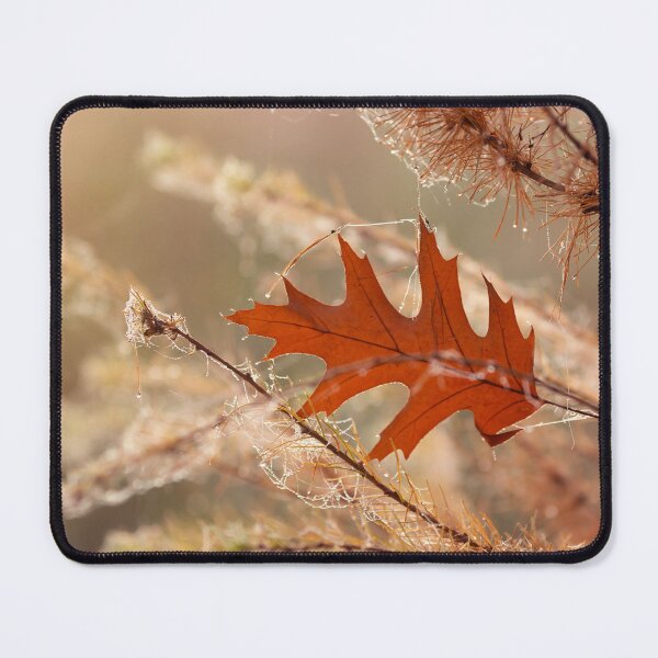 Item preview, Autumn leaf designed and sold by Catrinann.