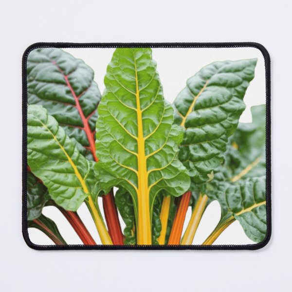 Item preview, Rainbow Chard designed and sold by StickersRyous.