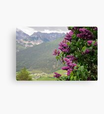 Lilac tree and the Austrian Alps Canvas Print