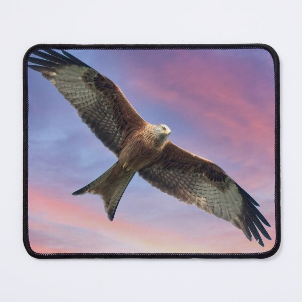 Item preview, Soaring Red Kite Bird of Prey designed and sold by Martyn R Arnold Fine Art Nature & Landscape Photography.