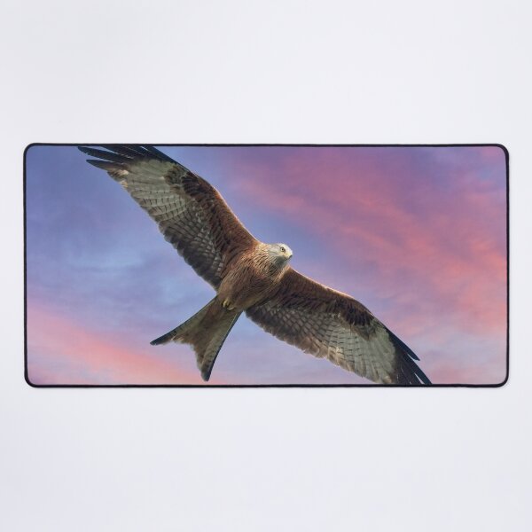 Item preview, Soaring Red Kite Bird of Prey designed and sold by Martyn R Arnold Fine Art Nature & Landscape Photography.