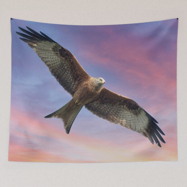 Item preview, Soaring Red Kite Bird of Prey designed and sold by Martyn R Arnold Fine Art Nature & Landscape Photography.