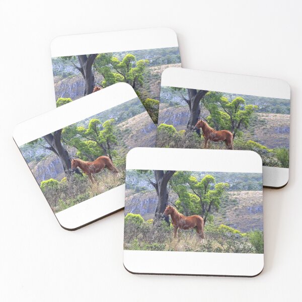 Item preview, High Country Brumby  (Kosciuszko National Park, Long Plain) designed and sold by BirdsAlive.