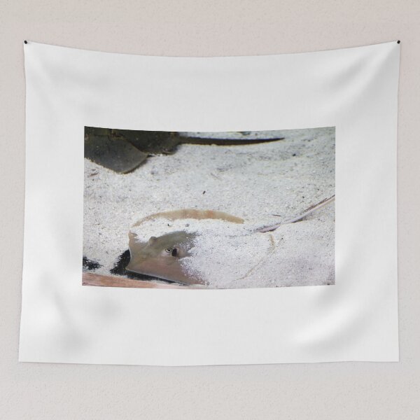 Item preview, Stingray Resting In The Sand designed and sold by Cynthia48.