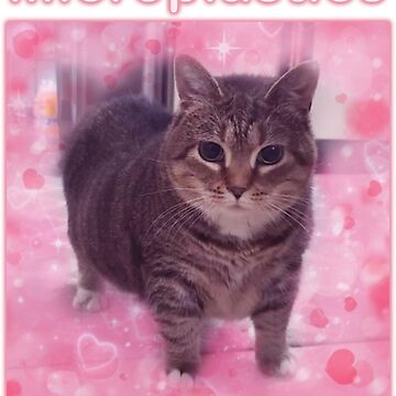 Artwork thumbnail, Microplastics in Balls Funny Cat Meme Gifts by MemishDesign