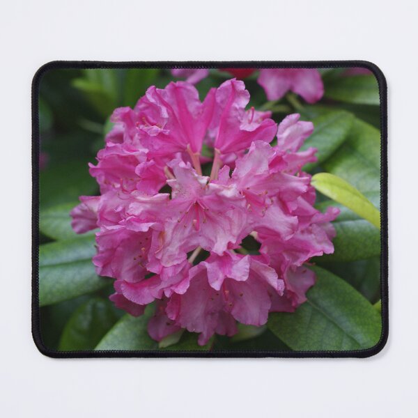Item preview, In my garden - rhododendron designed and sold by mikistudio.