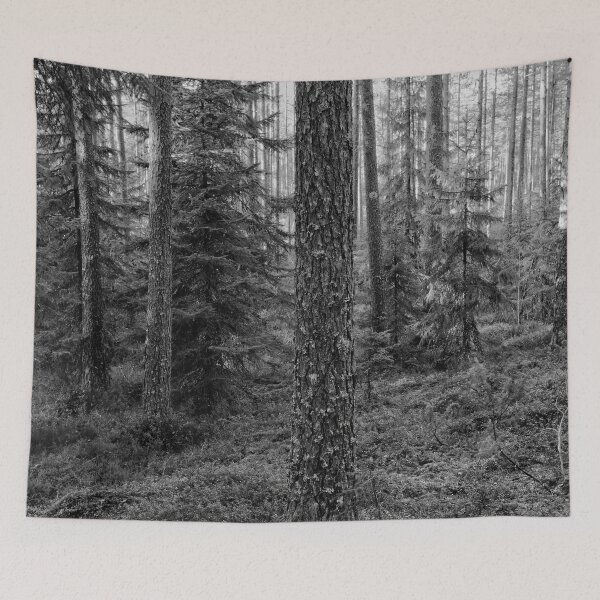 Item preview, Pines. Seitseminen bw designed and sold by Jouko Lehto Photography.
