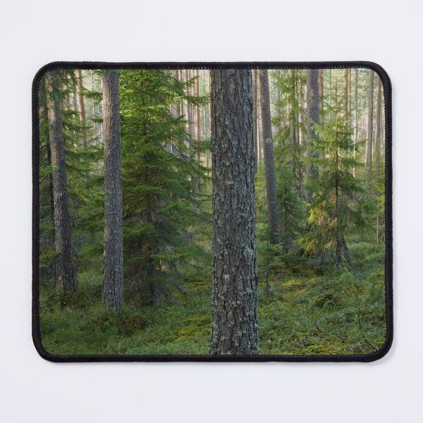 Item preview, Pines. Seitseminen designed and sold by Jouko Lehto Photography.