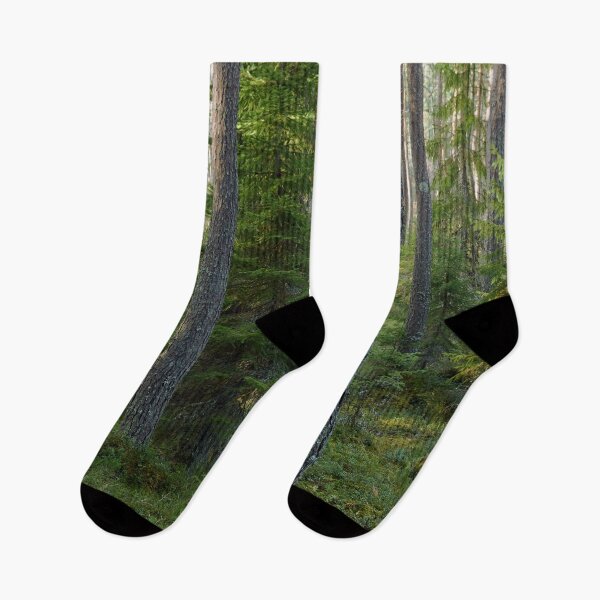 Item preview, Pines. Seitseminen designed and sold by Jouko Lehto Photography.