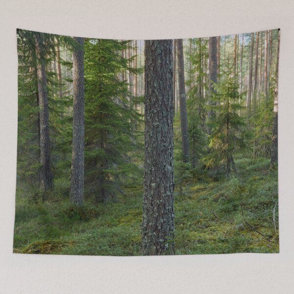 Item preview, Pines. Seitseminen designed and sold by Jouko Lehto Photography.