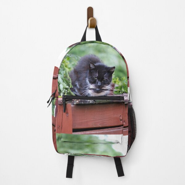 Aperçu de l'œuvre Chat noir endormi assis sur un puits créée et vendue par mikistudio.