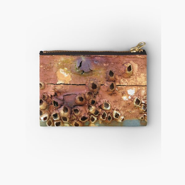 Item preview, Empty Barnacle Shells On an Old Boat designed and sold by AuntDot.