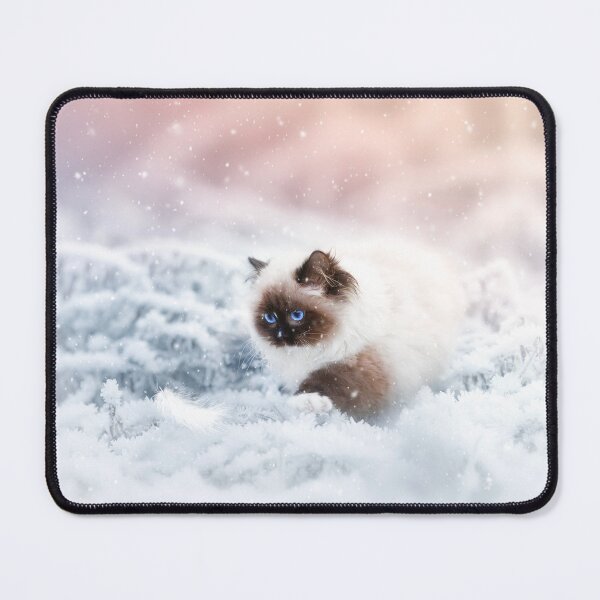 Item preview, Ragdoll Kitten in a Winter Wonderland designed and sold by MrGreenDragon.