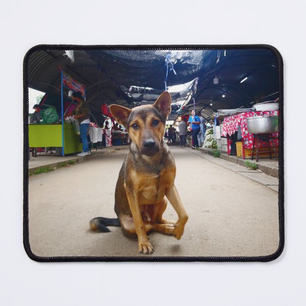 Item preview, Old Dog at the Market, Thailand designed and sold by JonDelorme.