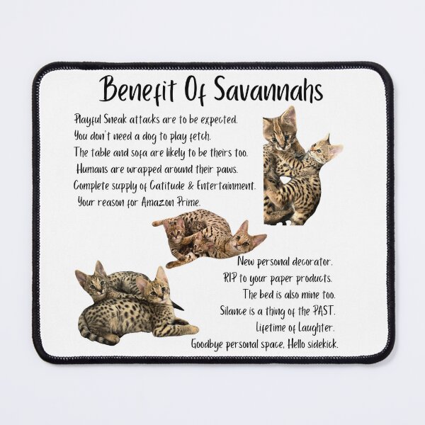 Item preview, Benefit of Savannahs designed and sold by Savannahheightz.