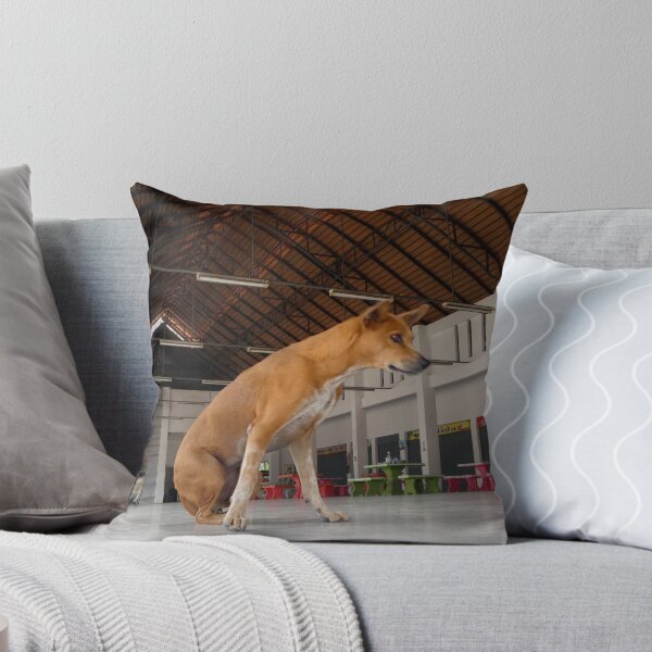 Item preview, Old dog at the Foodhall, Thailand designed and sold by JonDelorme.