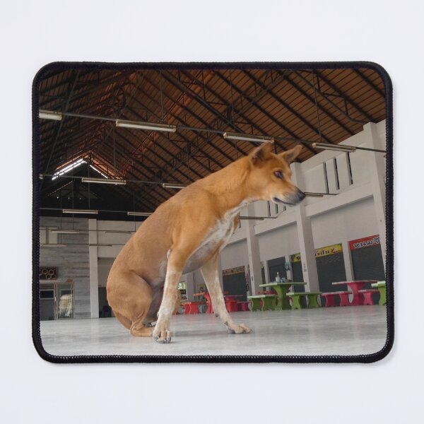 Item preview, Old dog at the Foodhall, Thailand designed and sold by JonDelorme.