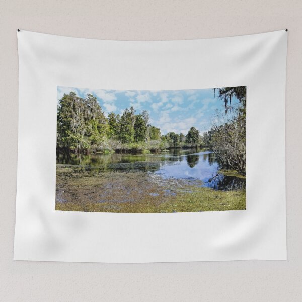 Item preview, Hillsborough River 3 - Florida designed and sold by jtrommer.