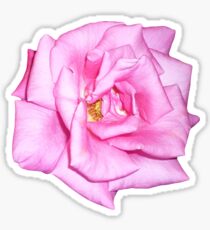 Your Good Girls Gonna Go Bad Sticker
