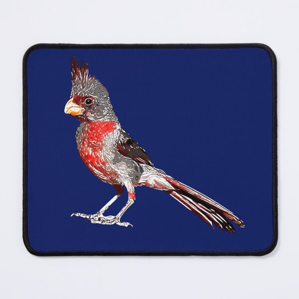 Item preview, Pyrrhuloxia White Alternate Design designed and sold by designsasstultd.
