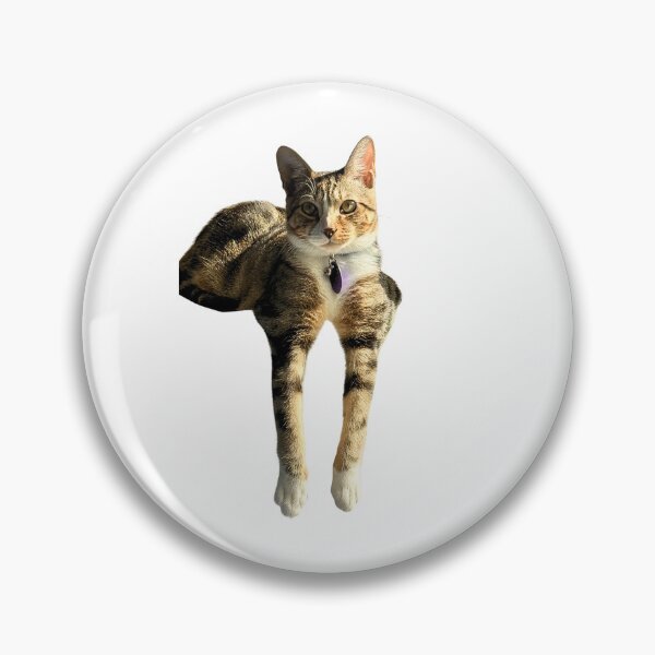 Item preview, Astarion the Cat Long designed and sold by TheBookRealm.