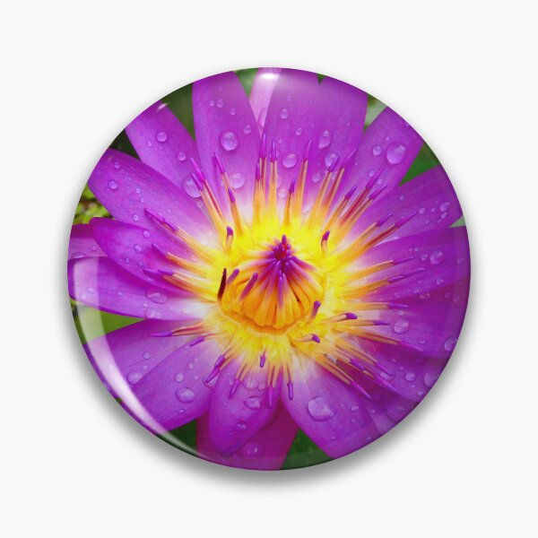 Item preview, Waterlily at the Phra Pathom Chedi Temple, Thailand designed and sold by JonDelorme.
