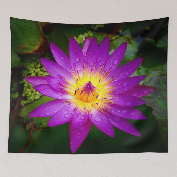 Item preview, Waterlily at the Phra Pathom Chedi Temple, Thailand designed and sold by JonDelorme.