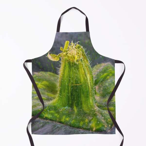 Item preview, Green Kabocha Squash Landscape designed and sold by Bill Spengler's Photographic Thoughts.