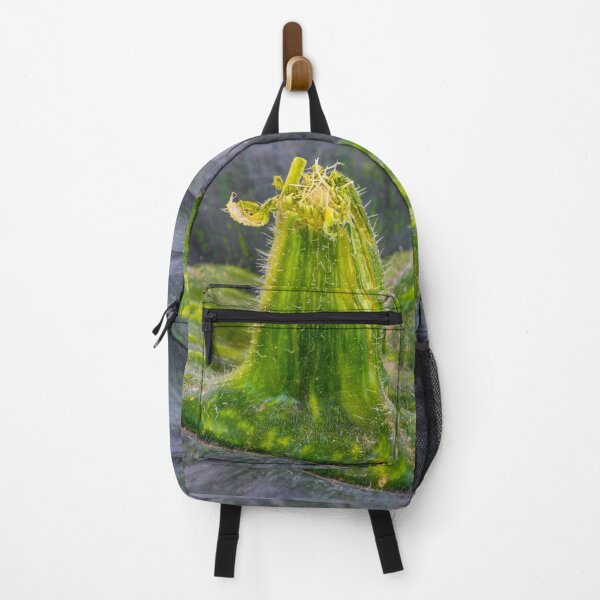Item preview, Green Kabocha Squash Landscape designed and sold by Bill Spengler's Photographic Thoughts.