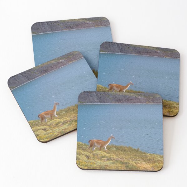 Item preview, Guanaco Chile Patagonia designed and sold by PhotoArt by Joan Carroll.