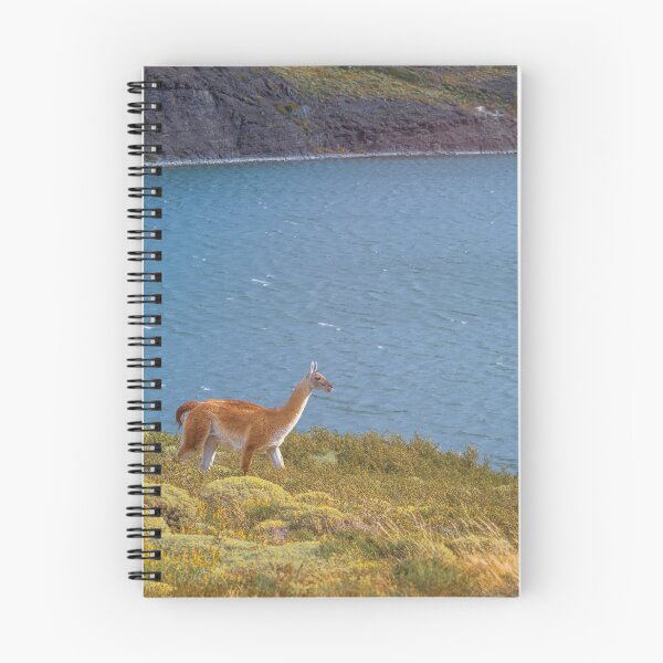 Item preview, Guanaco Chile Patagonia designed and sold by PhotoArt by Joan Carroll.
