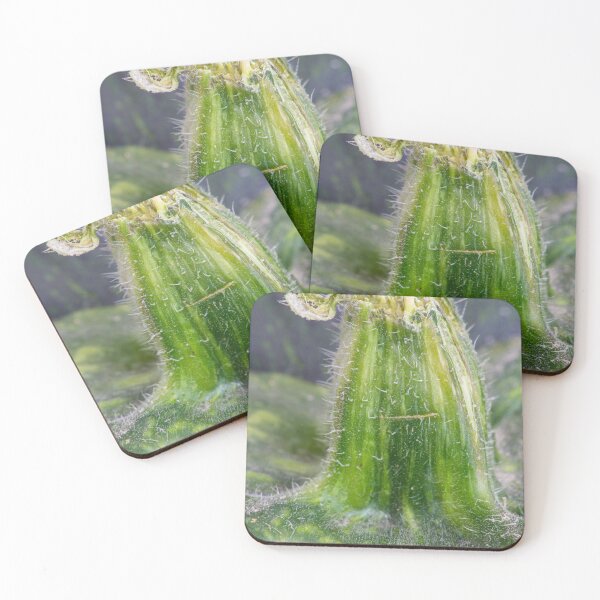 Item preview, Towering Green Kabocha Squash Stem designed and sold by Bill Spengler's Photographic Thoughts.