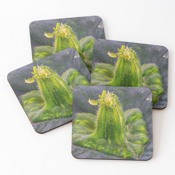 Item preview, Green Kabocha Squash Landscape designed and sold by Bill Spengler's Photographic Thoughts.