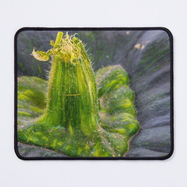 Item preview, Green Kabocha Squash Landscape designed and sold by Bill Spengler's Photographic Thoughts.