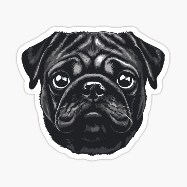 Cute black pug face Sticker