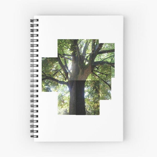 Item preview, century-old lime tree designed and sold by chiara-chiarel.